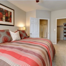 Ample storage space awaits at Colonnade! Our apartments feature generous walk-in closets and multiple storage options in each bedroom. You'll have plenty of room to organize your belongings and keep everything easily accessible. Experience the convenience of well-designed storage solutions in your new home. Instagram post from @colonnadesa on February 11, 2025 00:00:00am